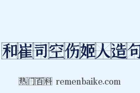 和崔司空伤姬人造句是什么意思的图片